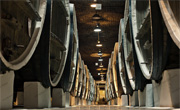 Mad Dog Brewery - The Brewery Image