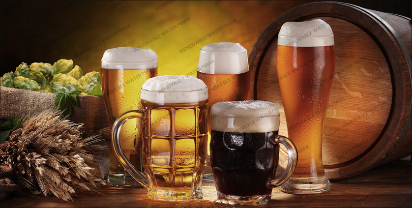 Mad Dog Brewery Slider Image 2
