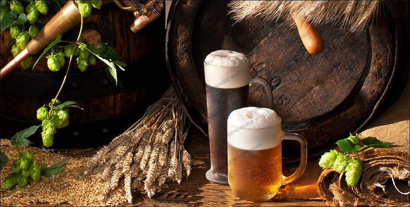 Mad Dog Brewery Slider Image 5